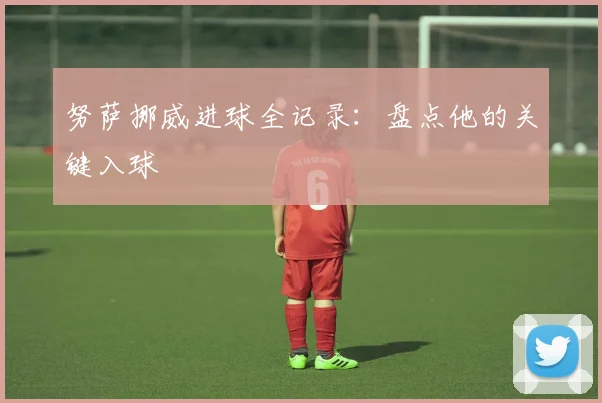 努萨挪威进球全记录:盘点他的关键入球